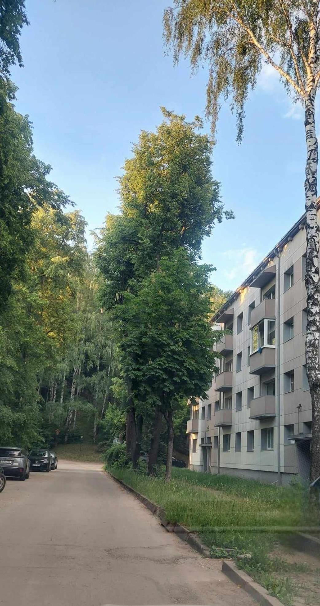 Raudondvario II Kaunas Eksteriør bilde